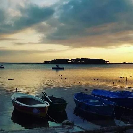 B&B Fior Di Mare Porto Cesareo Extérieur photo